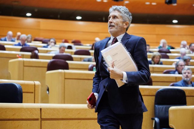 El ministro del Interior, Fernando Grande-Marlaska, interviene durante una sesión de control al Gobierno en el Senado
