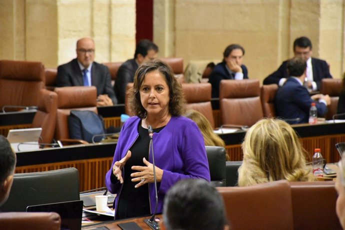 La consejera de Salud y Consumo, Catalina García, en el Pleno del Parlamento