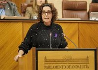 El Parlamento andaluz rechaza con la mayoría del PP-A una PNL del PSOE-A a favor de la gratuidad de comedores escolares