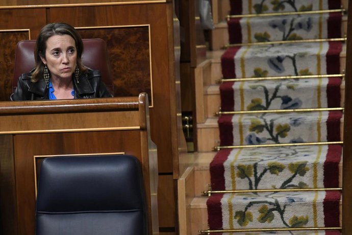 La portavoz del Partido Popular en el Congreso de los Diputados, Cuca Gamarra.