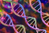Foto: Desarrollan una nueva herramienta basada en CRISPR inserta grandes secuencias de ADN de forma más segura y eficiente