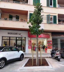 Uno de los ejemplares.