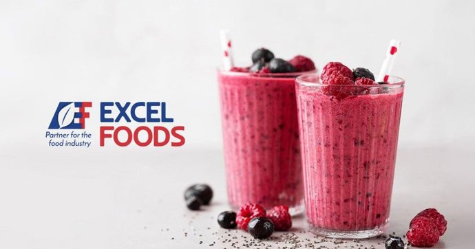 EXCEL FOODS, S.L. 