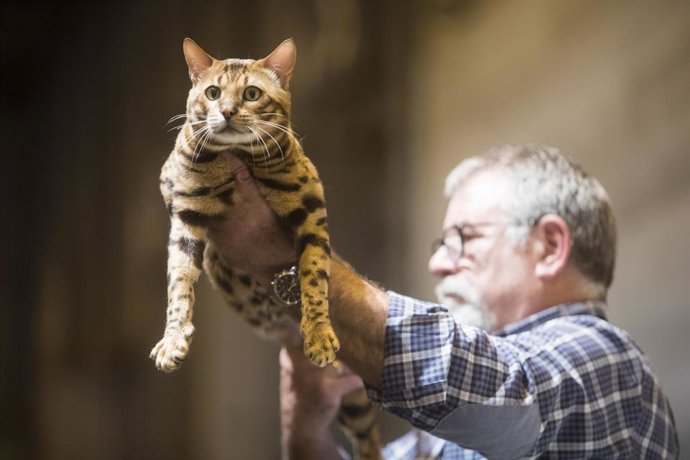 Archivo - 100X100mascota