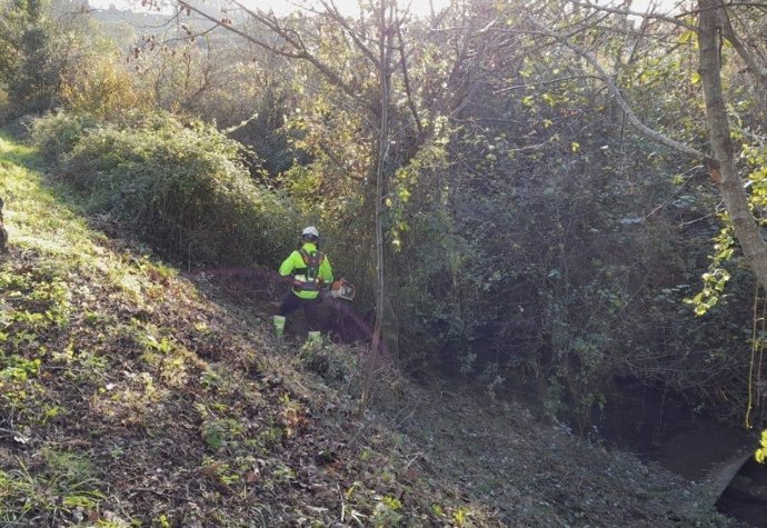 Trabajos de conservación en el río Pilón en Gijón, a cargo de la Confederación Hidrográfica del Cantábrico (CHC)