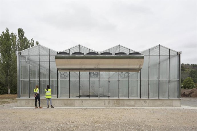 Archivo - Planta de secado.