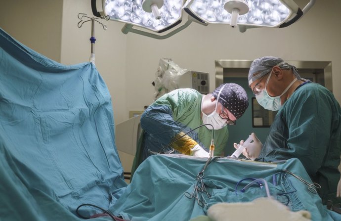 Archivo - Equipo de neurocirujanas que opera cirugía de tumor cerebral en quirófano de hospital