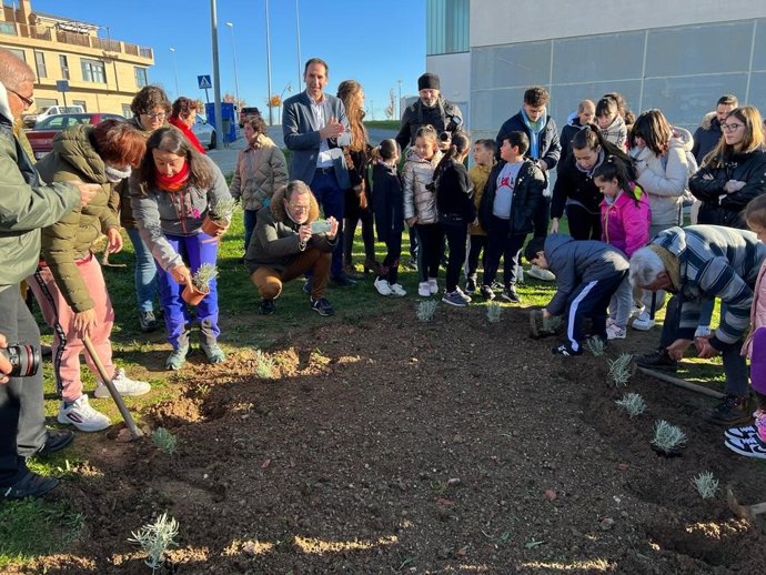 Imagen de la plantación de lavandas en Palencia como homenaje a las víctimas por violencia de género.