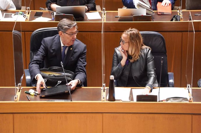 El vicepresidente del Gobierno de Aragón, Arturo Aliaga, y la consejera de Presidencia, Mayte Pérez, durante la sesión de control al Gobierno en el pleno de las Cortes autonómicas.