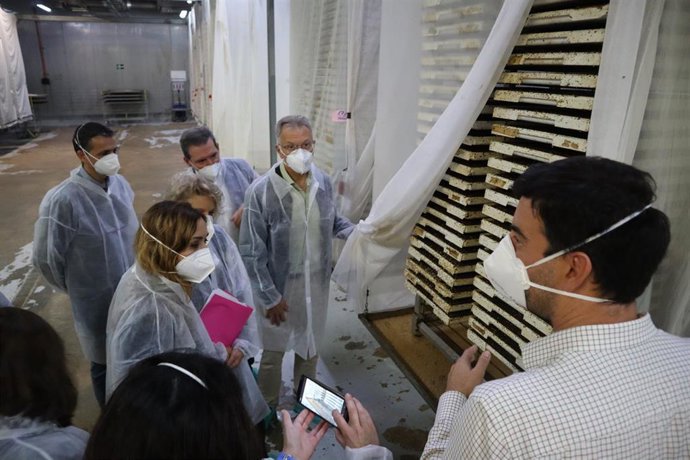 El Consell pide a la Comisión Europea que extienda el tratamiento de frío a otros productos agrarios y que apueste por la reciprocidad ante terceros países