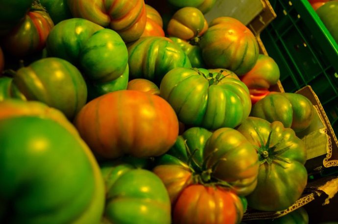 Archivo - Tomates en un supermercado