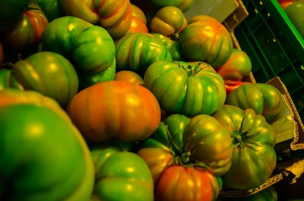 Archivo - Tomates en un supermercado