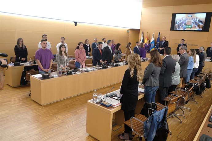 Minuto de silencio en el Pleno del Cabildo de Tenerife con motivo del 25N
