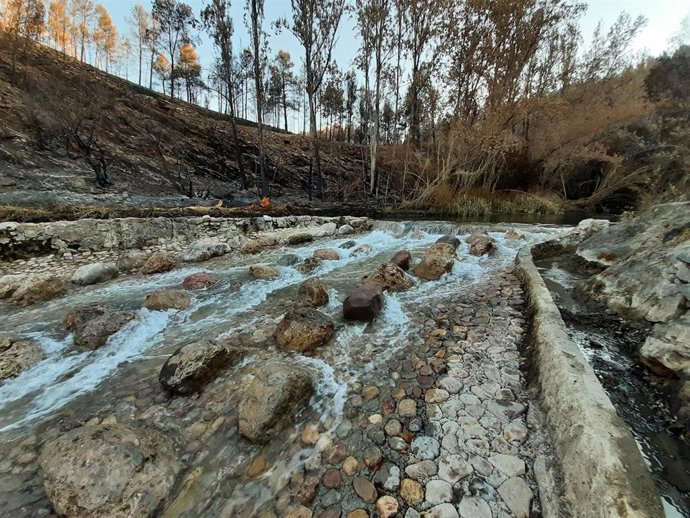 La Confederación Hidrográfica del Júcar desarrolla actuaciones para la mejora de la continuidad longitudinal de los ríos de su demarcación hidrográfica