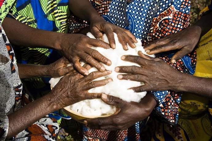 Cooperative and school of DOUGOURA KOROBA .. This producer organization has been decertified as of 29.04.13