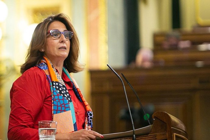Archivo - Borrego (PP): "Estamos ante un Gobierno de España tramposo que ayer no respetó la voluntad de la Cámara" 