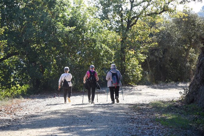 Un grup de persones practica senderisme al Parc Natural de la Serra de Collserola