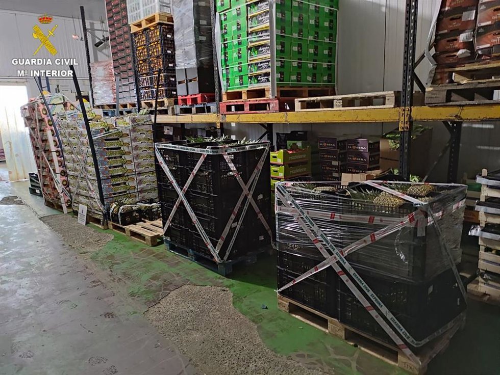 La Guardia Civil incauta más de dos toneladas de fruta tropical en Fuerteventura