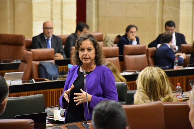 La consejera de Salud, Catalina García, en una imagen de archivo en el Pleno del Parlamento