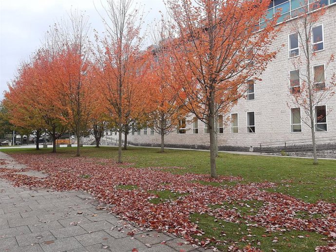 Audiencia Provincial de Cantabria.- Archivo