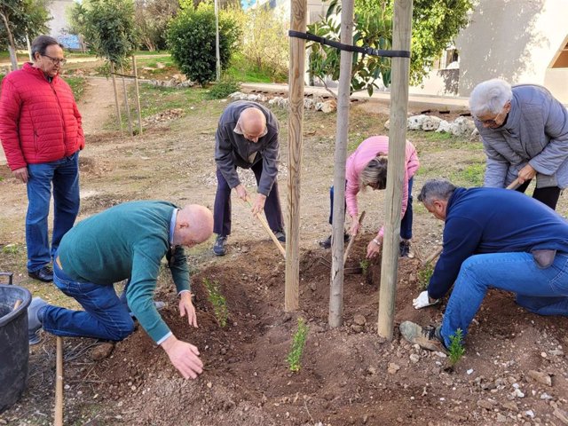 Unas 100 personas participan en la siembra de más de 300 plantas arbustivas en el parque de la calle Andreu Jaume i Nadal de Son Dameto