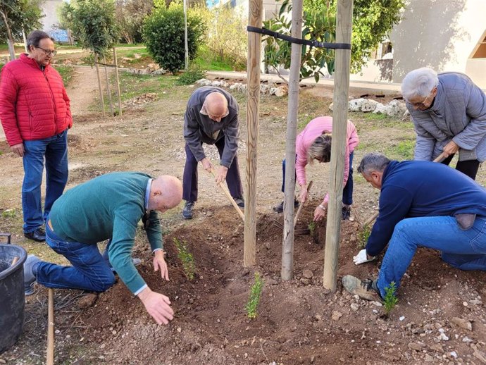 Unas 100 personas participan en la siembra de más de 300 plantas arbustivas en el parque de la calle Andreu Jaume i Nadal de Son Dameto