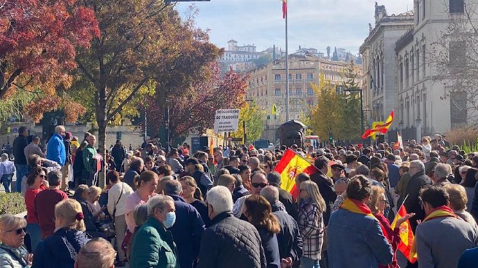 Manifestación de Vox en Granada