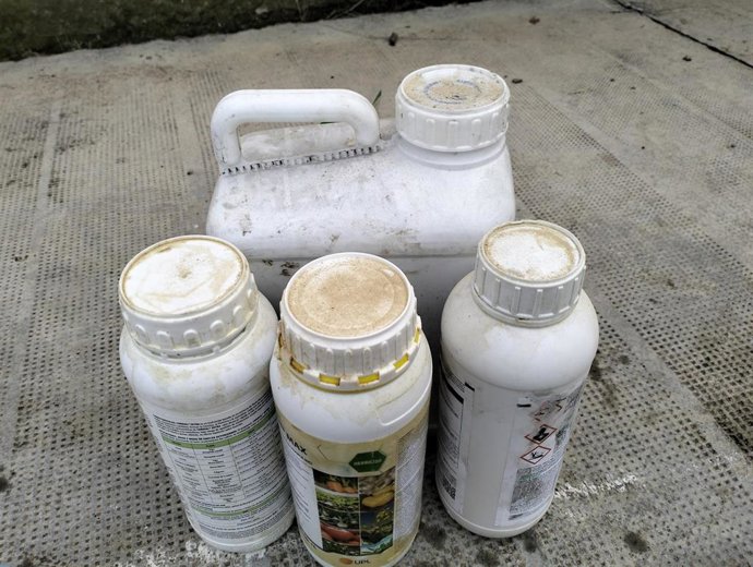 El proyecto piloto se llevará a cabo en cuatro puntos.