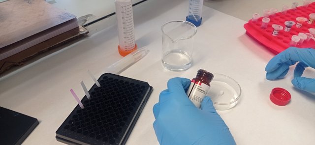 Crean un test que detecta rápidamente presencia de burundanga y droga  caníbal en muestras de saliva y en bebidas