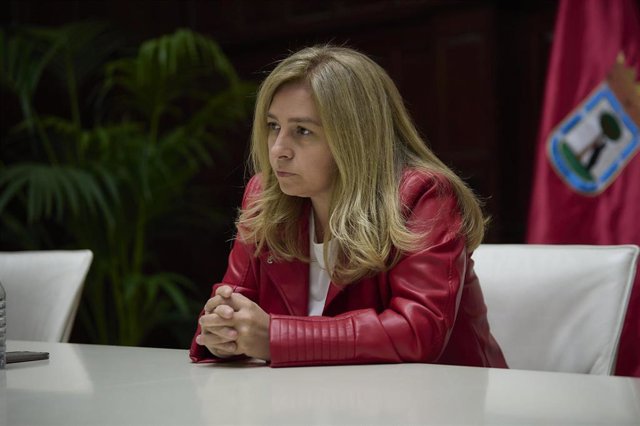 Archivo - La portavoz municipal del Ayuntamiento de Madrid, delegada del área de Seguridad y Emergencias, Inmaculada Sanz 