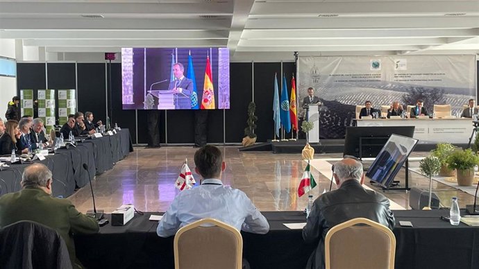 Millán interviene en uno de los encuentros del COI.