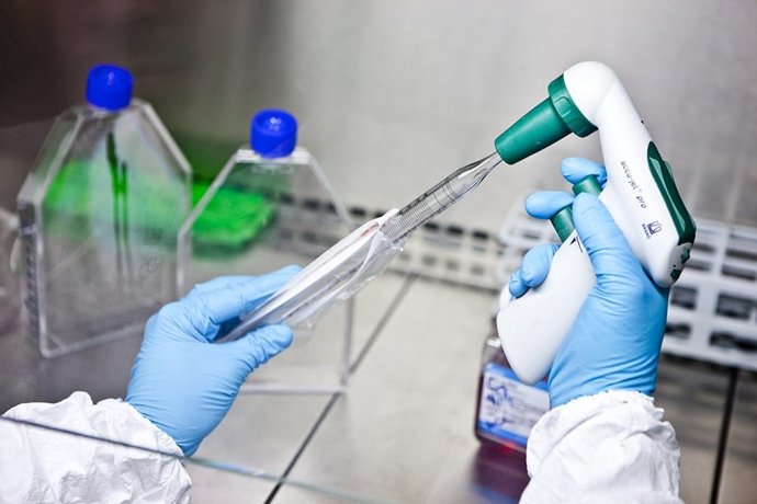 Archivo - Imagen de recurso de un laboratorio de investigación de Cabimer