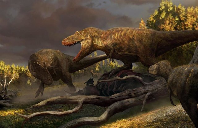 Esta pintura de los cuatro especímenes de tiranosaurio descubiertos por el Museo de Dinosaurios de Badlands por el paleoartista Rudolf Hima