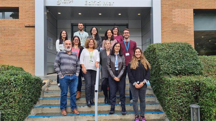 Los anticuerpos contra el coronavirus se mantienen 17 meses después de la infección, según un estudio