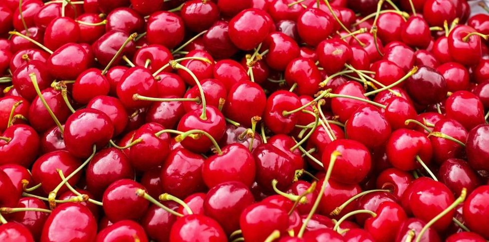 Los beneficiados son 8.205 agricultores y ganaderos.