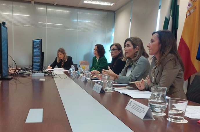 La consejera de Empleo, Empresa y Trabajo Autónomo, Rocío Blanco, ha presidido la reunión del Consejo Andaluz de Comercio.