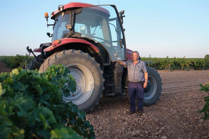 Archivo - Tractor, campo