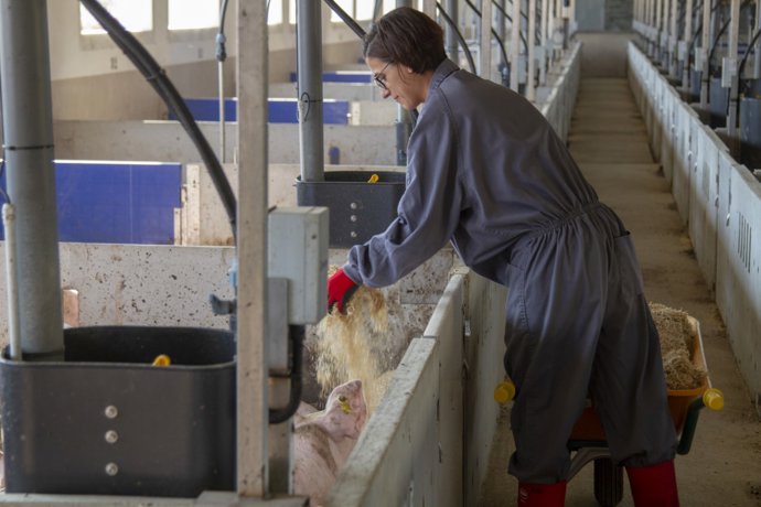  Una trabajadora en una granja de Vall Companys. 
