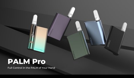 Comunicados Internacional