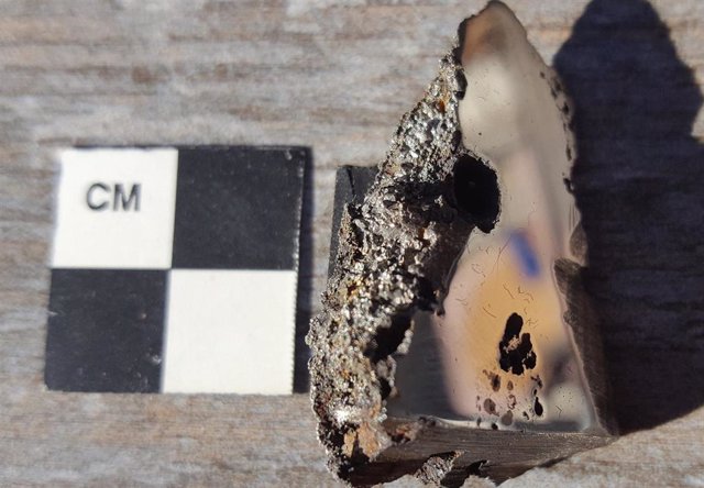 Una porción del meteorito El Ali, ahora alojado en la Colección de Meteoritos de la Universidad de Alberta, contiene dos minerales nunca antes vistos en la Tierra.