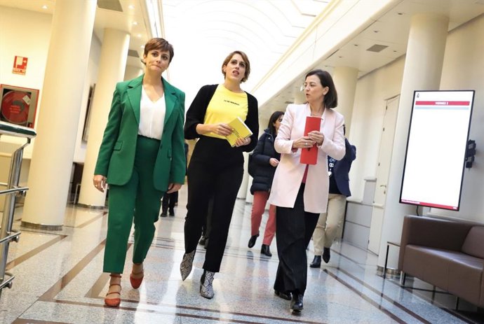 El PSOE se reune en el Senado con el Club de Malasmadres