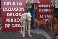 Nueva brecha entre PSOE y Podemos, esta vez por la Ley de Bienestar Animal y la enmienda para excluir a perros de caza