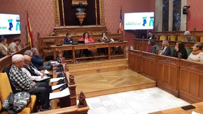 La presidenta del Consell de Mallorca, Catalina Cladera, el conseller de Presidencia, Javier de Juan, junto a los 30 asistentes y la presidenta del Consell de Personas Mayores electa.