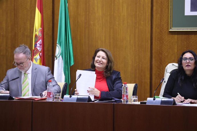 La consejera de Agricultura, Pesca, Agua y Desarrollo Rural, Carmen Crespo, en comisión parlamentaria.