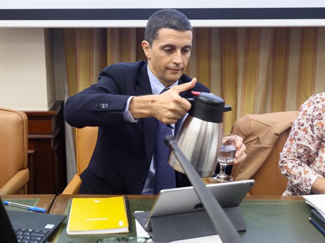 Archivo - El secretario de Estado de Seguridad Social y Pensiones, Borja Suárez