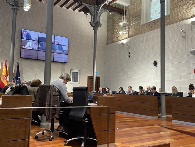 Pleno extraordinario de la Diputación de Zaragoza.