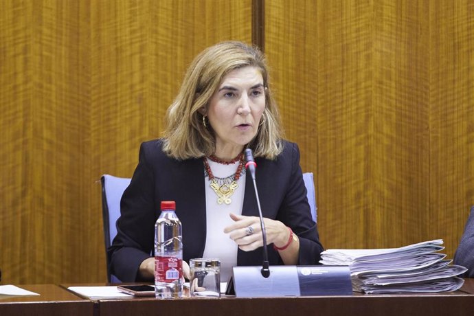 La consejera de Empleo, Empresas y Trabajo Autónomo de la Junta de Andalucía, Rocío Blanco