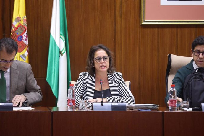 La consejera de Salud y Consumo, Catalina García, en comisión parlamentaria