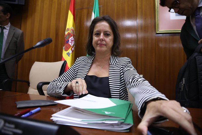 La consejera de Salud y Consumo, Catalina García, en comisión parlamentaria
