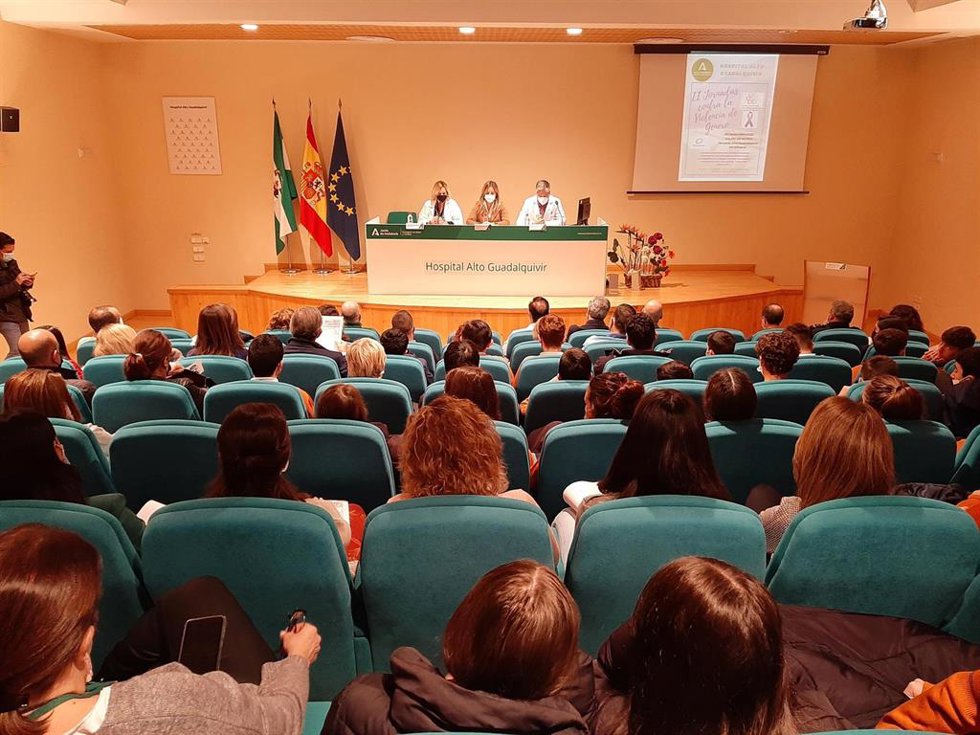 Inauguración de las II Jornadas de Violencia de Género